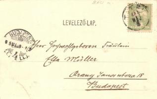 Titel, part, csónakok, Kálvária hegy; kiadja Schmidtmayer F. és fiai / river bank, boats, calvary hi...