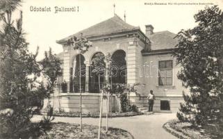 Palics, Palic; villa, kiadja Heumann Mór / villa