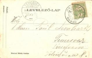 Palics, Palic; vendéglő, kiadja Menczel Mihály / restaurant (EK)