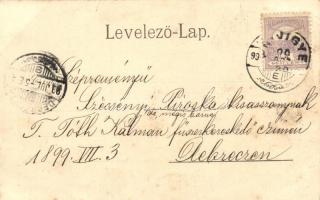 1899 Nagybecskerek, Zrenjanin; megyeház, part / county hall, river bank (EK)