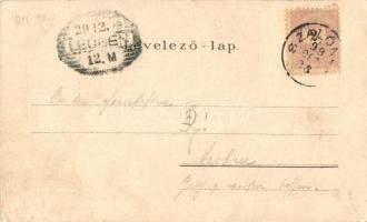 1899 Üdvözlet Magyarországból! Magyar népviselet, térkép; Schmidt Victor és fiai, Bécs / Hungarian f...