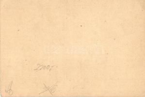 1915 Wehrschild im Eisen der Gemeinde Schönichel-Oederberg Bahnhof / Iron Defence Shield of Sunychl-...