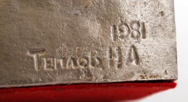 N.A. Tyeplov: Férfi büszt. Fém, jelzett, m:22 cm