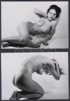 cca 1970 Irodista lány változatosságra vágyik, 13 db finoman erotikus fénykép, korabeli negatívról készült modern nagyítás, 13x9 cm / cca 1970 13 erotic photos, 13x9 cm