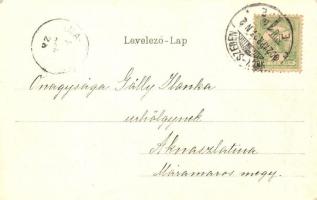 Nagyszeben, Hermannstadt, Sibiu; Megyeház / county hall