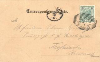 Rein, Glöck'l Wirth Gastwirtschaf zum Bahnstation Gratwein / guest house, accordionist, floral;...