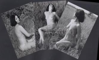 cca 1980 Vadon termő mezei szép virágszál, 13 db finoman erotikus fénykép, korabeli negatívról készült modern nagyítás, 13x9 cm / cca 1980 13 erotic photos, 13x9 cm