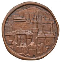 Renner Kálmán (1927-1994) 1977. "Sopron 1277-1977" Br plakett (95mm) T:2