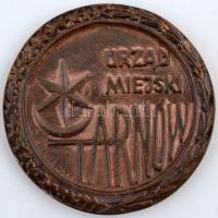 1959. "Tanácsköztársasági Emlékérem" ezüstözött Br érem mellszalaggal dísztokban (38mm) + ...