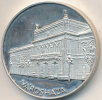 ~1990. "Nyíregyháza várostól / Városháza" Ag emlékérem (19,52g/0.925/30mm) T:PP