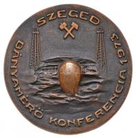 1973. "Szeged Bányamérő Konferencia 1973" Br emlékplakett (90mm) T:2