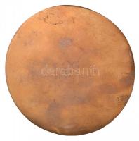 1973. "Szeged Bányamérő Konferencia 1973" Br emlékplakett (90mm) T:2