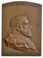 1906. "A Magyar Történelmi Társulat Thaly Kálmánnak - 1906" Br plakett. Szign.: K. Tóth L. (65x47mm) T:2 Hungary 1906. "The Hungarian Historcal Society to Kálmán Thaly - 1906" Br plaque. Sign.: K. Tóth L. (65x47mm) C:XF