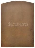 1906. "A Magyar Történelmi Társulat Thaly Kálmánnak - 1906" Br plakett. Szign.: K. Tóth L....