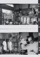 cca 1935 Békéscsaba, Thöresz Dezső "Luther Márton" gyógyszertára, 12 db korabeli negatívról készült mai nagyítás, képméret 10x10 cm, 10x15 cm-es fotópapíron