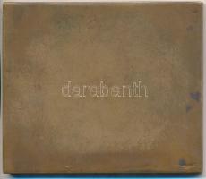 Ligeti Miklós (1871-1944) 1936. "Pesti Magyar Kereskedelmi Bank T.S.E. 1911-1936" Br emlék...