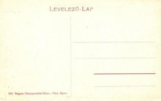 Puj, Pui; Naláczy-udvar / villa