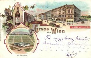 1899 Vienna, Wien; Weingut Schlossberg Vöslau, Hotel Kummer, Kummer wine advertisement, Kunstanstalt Heinr. &amp; Aug. Brüning grapes litho