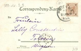 1899 Vienna, Wien; Weingut Schlossberg Vöslau, Hotel Kummer, Kummer wine advertisement, Kunstanstalt...