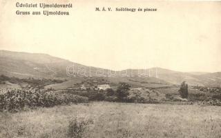 Újmoldova, Moldova Noua; MÁV Szőlőhegy és pince / vineyard and cellars (EK)