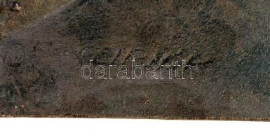 Czirják jelzéssel: Lenin, bronz plakett, 37×28,5 cm