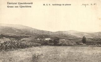 Újmoldova, Moldova Noua; MÁV szőlőhegy és pince / vineyards and cellar