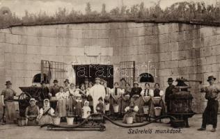 Szüretelő munkások, daráló, prés / Vintagers with grinder and wine presser, Hungarian folklore