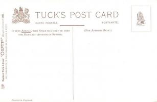 Rooster teacher with chicken students, Raphael Tuck & Sons Oilette Nr. 1245. s: Shepheard