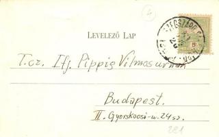 Szekszárd, Tolna vármegyei múzeum, kiadja Gerőfi Lipót