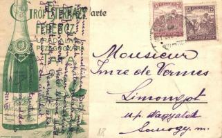 Bezugschein No. 549312. Mädchen Verteilungskommission / Ration card humour, certificate of marriage ...