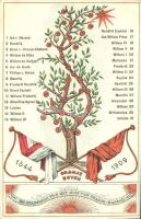 1533-1909 Oranje Boven, De Stamboom van het huis van oranje-Nassau / Royal family tree of the Netherlands, flags, litho (EK)