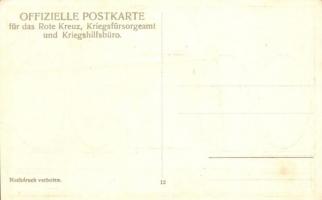 Der Kaiser in den Kriegsjahren / Franz Joseph at the time of various wars, Offizielle Postkarte für ...