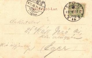 Budapest V. Nádor utca, Rimamurányi-Salgótarjáni vasmű Rt. palotája, Körner Vilmos és társa üzlete, ...