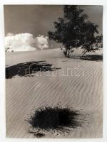 cca 1960 Dezső Pál (Kecskemét): Homok hullámok, feliratozott, kiállítási emlékpecsétekkel ellátott vintage fotóművészeti alkotás, 39x29 cm