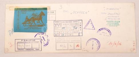 cca 1960 Dezső Pál (Kecskemét): Riadalom, feliratozott, kiállítási emlék jegyekkel, pecsétekkel ellá...