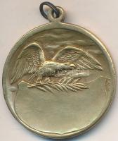 Sződy Szilárd (1878-1939) ~1920. Fém díjérem mellszalag nélkül, "LUDVIG" gyártói jelzéssel...