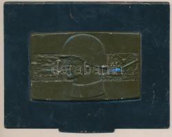 DN "Emlékül a szocialista haza fegyveres szolgálatáért a Magyar Népköztársaság honvédelmi miniszterétől" fém doboznak a fedele domborművel (125x93mm) T:2-