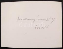 cca 1910 Mednyánszky László (1852-1919) festőművész portré fotója 9x6 cm