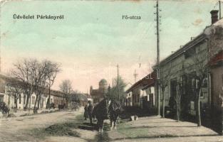 Párkány, Stúrovo; Fő utca, kiadja Pauncz Mór / main street (EK)