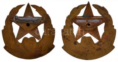 1965. "Díszszemle 20 - 1945-1965" zománcozott fém jelvény javított tűvel, zománchibás + 19...