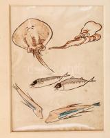 Masajoshi Kitao (1761-1824): Tengeri élőlények. Színezett fametszet, papír, jelzés nélkül, paszpartuban, 20×15,5 cm