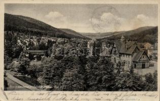 12 db VEGYES tétel, nagyrészt német városképes képeslapok, 1 db virág motívumos litho, vegyes minősé...