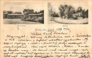 1899 Lipik, Wandelbahn, Gloriet / promenade, park
