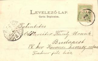 Lipik, Zene pavilon / Music pavilion