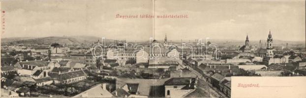 Nagyvárad, Oradea; látkép, kétlapos panorámalap / town-view, 2-tile panoramacard