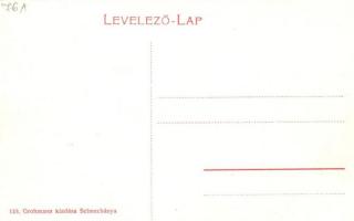 Selmecbánya, Banská Stiavnica; látkép a főiskolai palotákkal, kiadja Grohmann / view with the school...