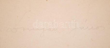 1944 A Svéd Vöröskereszt védelmi táblája (magyar, német és orosz nyelven) Budapest IX. kerületi laká...