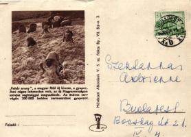 1953 'Fehér arany', gyapot, ötéves terv, államszocialista propaganda / socialist-communist agricultural propaganda (EB)