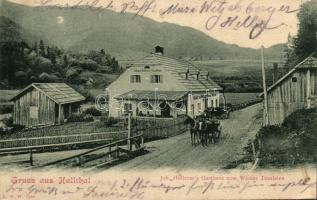 Halltal, Hallthal; Joh. Hollerer's Gasthaus zum 'Wiener Touristen' / Inn (EB)