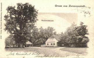Nagyszeben, Hermannstadt, Sibiu; Erdei vendéglő / Waldwirtshaus / forest restaurant